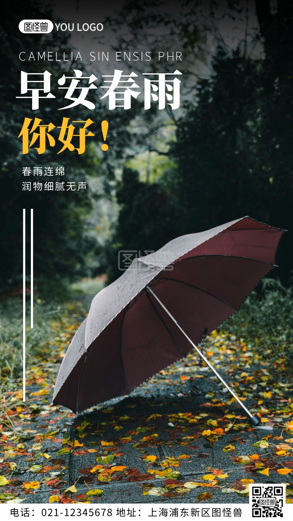 黑色摄影风雨伞春雨早安你好日签