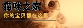 宠物店猫咪之家淘宝banner
