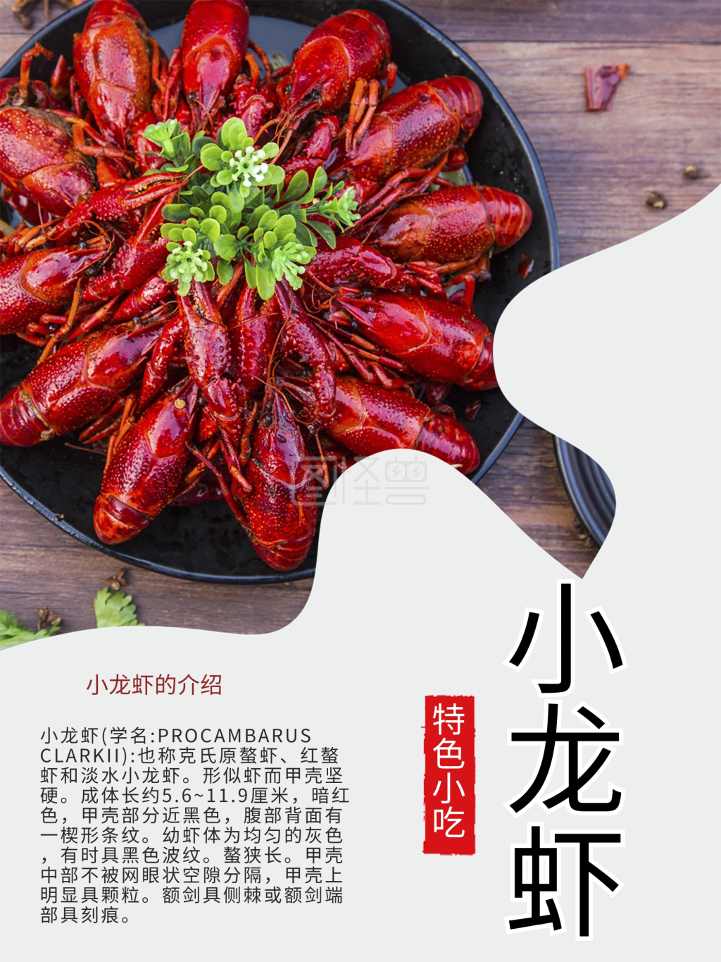 小龙虾宣传单促销海报