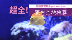 蜜月圣地推荐红包公众号封面