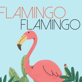 火烈鸟摄影手机朋友圈封面