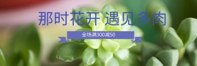 紫色文艺小清新多肉植物淘宝banner电商海报