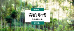 春的步伐 轻轻地。 慢慢地。 在向我们走来。 春季春天你好公众号封面