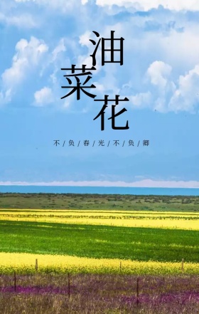 油菜花海绿色文艺清新旅游宣传海报
