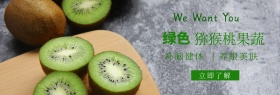 果蔬类官网banner