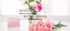 家具狂欢节白色简约淘宝banner