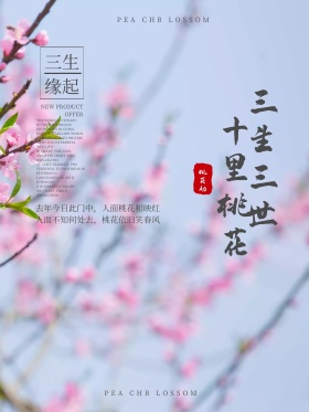 清新水墨中国风三生三世十里桃花海报