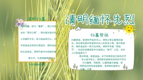 绿色清新清明缅怀先烈手抄报
