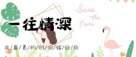 一往情深公众号封面
