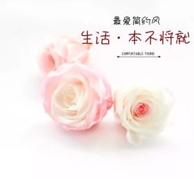 生活本不将就灰色简约朋友圈封面