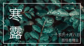 寒露节日露水绿叶物业管家公众号封面