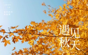 枫叶遇见秋天唯美红包配图海报