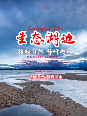 生态湖边接触自然静听湖水房地产开盘海报设计
