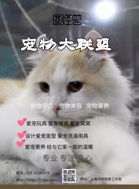 2018宠物商店宣传海报
