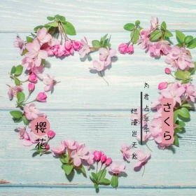 樱花诗词粉色公众号封面图模版