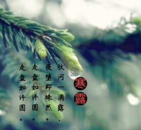 寒露时节朋友圈封面