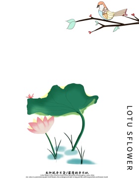 中国风水墨风荷花荷塘月色海报