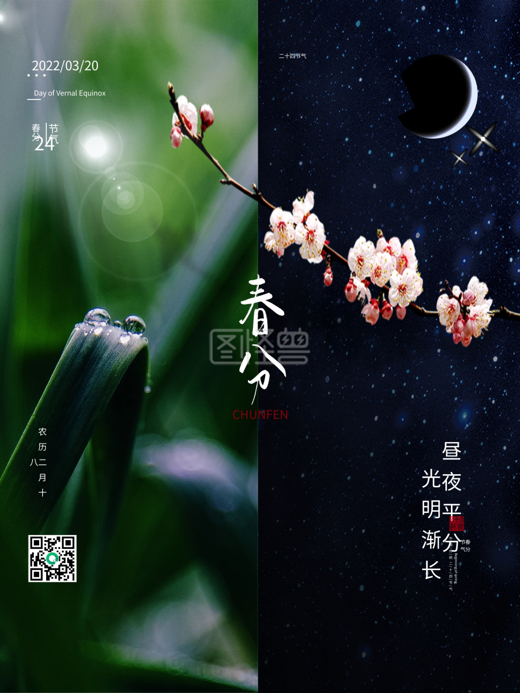 简约二十四节气春分昼夜平分海报