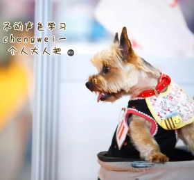 治愈温馨二次元手绘朋友圈封面