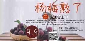 杨梅熟了