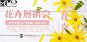 粉色简约花卉展销横版海报