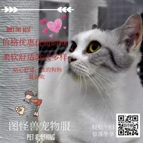 宠物服装简约贴心舒适公众号配图