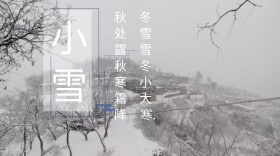 小雪简洁诗句公众号封面模版