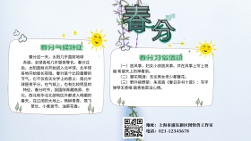 春分节气横版手抄报