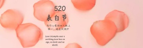520表白节手绘促销淘宝海报模板