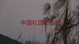校园公益网 简约公众号封面