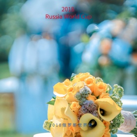 世界杯热点卡通创意手绘配图