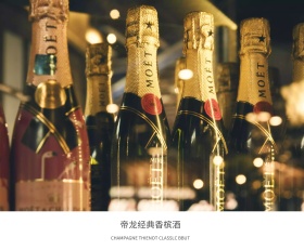 帝龙葡萄酒广告PSD素材