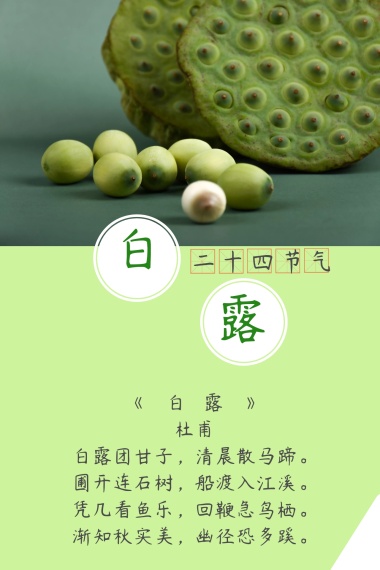 白露白鹭诗句公众号配图