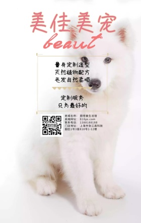 宠物美容只为美丽营销日签