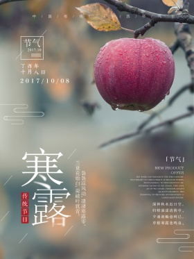 简约唯美二十四节气之寒露节气海报