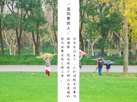 文艺摄影风公众号横版配图模版