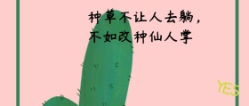 搞笑卖萌公众号封面