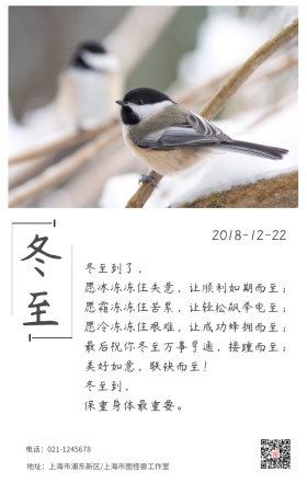 冬至保重身体雪景小鸟日签