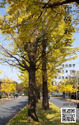 秋天你好日签