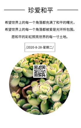 和平铭记历史文艺简约日签