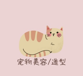 宠物美容宠物造型店铺宣传朋友圈封面