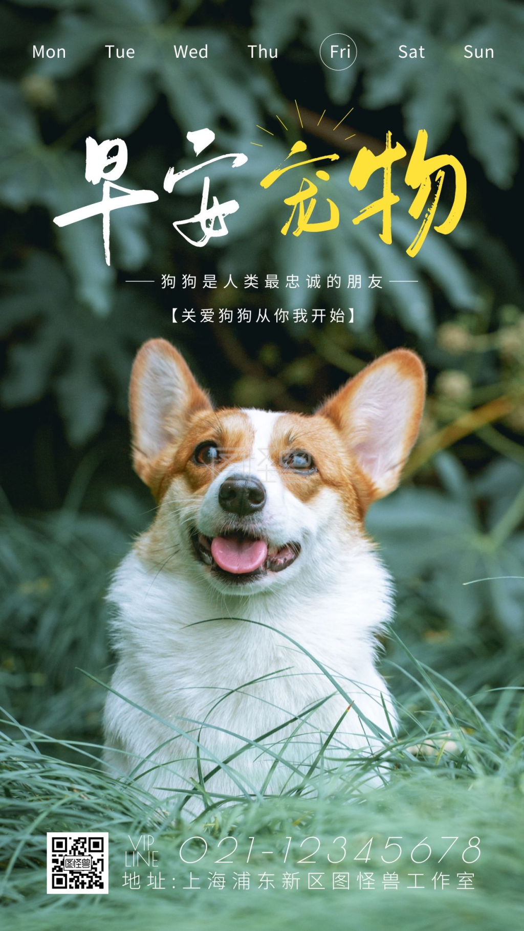 简约摄影清新唯美宠物狗狗早安日签