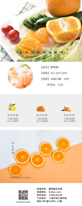 橙子脐橙详情页简约极简长图