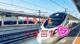让爱回家公众号封面