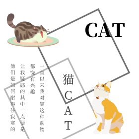 猫咪文艺可爱小清新红包公众号封面图