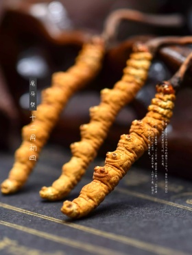 中国风简笔画大寒二十四节气海报