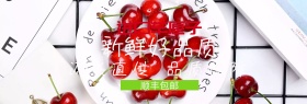 水果车厘子手绘简约包邮banner