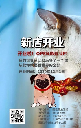 宠物之家日签