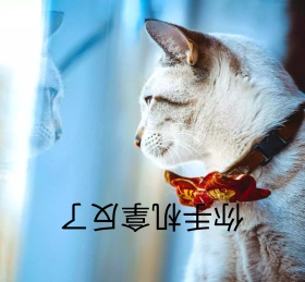 你手机倒了蓝色朋友圈封面