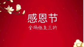 感恩节折扣促销